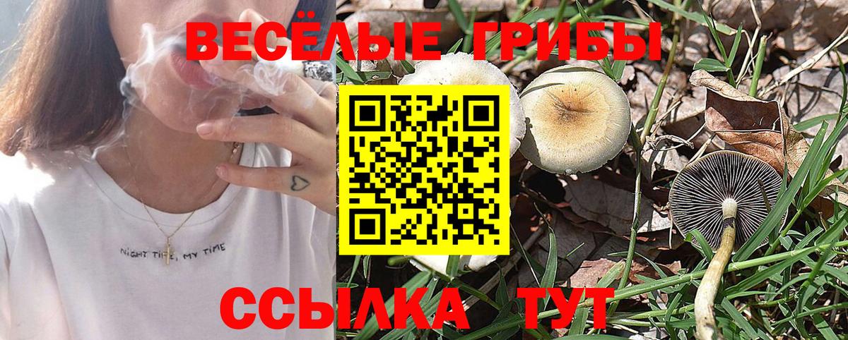 Псилоцибиновые грибы мицелий  Вход с VPN  Псилоцибиновые грибы MAGIC MUSHROOMS  купить наркотик  Луховицы 